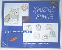 helga chinagi, allroundgenie: kauzige euhus- 2 zeichnungen gerahmt