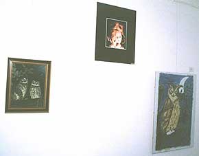 pichler - ölbild sumpfohreulen (aus privatsammlung),   klaus wruss - kunststudent, studiofotograf : "harry", plüscheulenfoto,   peter smojka hobbykünstler: erwartung(bild auf japanpapier-ca. 70x50)