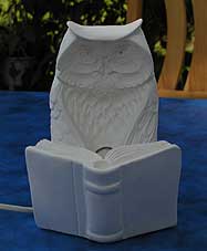 Lamp Owl with book